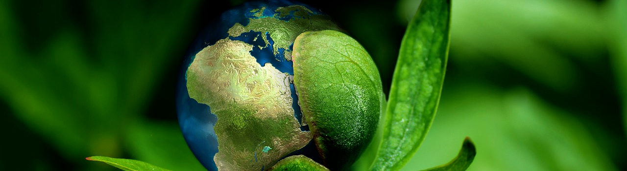 Die Weltkugel wächst aus einer Pflanzen heraus als Symbol für Nachhaltigkeit.