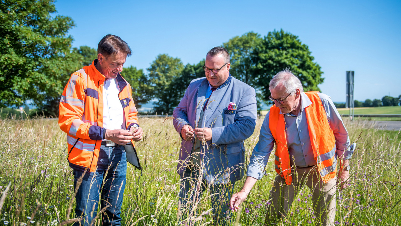 Verkehrsstaatssekretär Andy Becht hat gemeinsam mit LBM-Geschäftsführer Arno Trauden an der L 52 im Bereich der Anschlussstelle Ochtendung das Pilotprojekt „Blumenwiesen“ vorgestellt