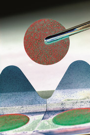 Inwertsetzung von Forschungs- und Entwicklungsergebnissen (FPG 367)