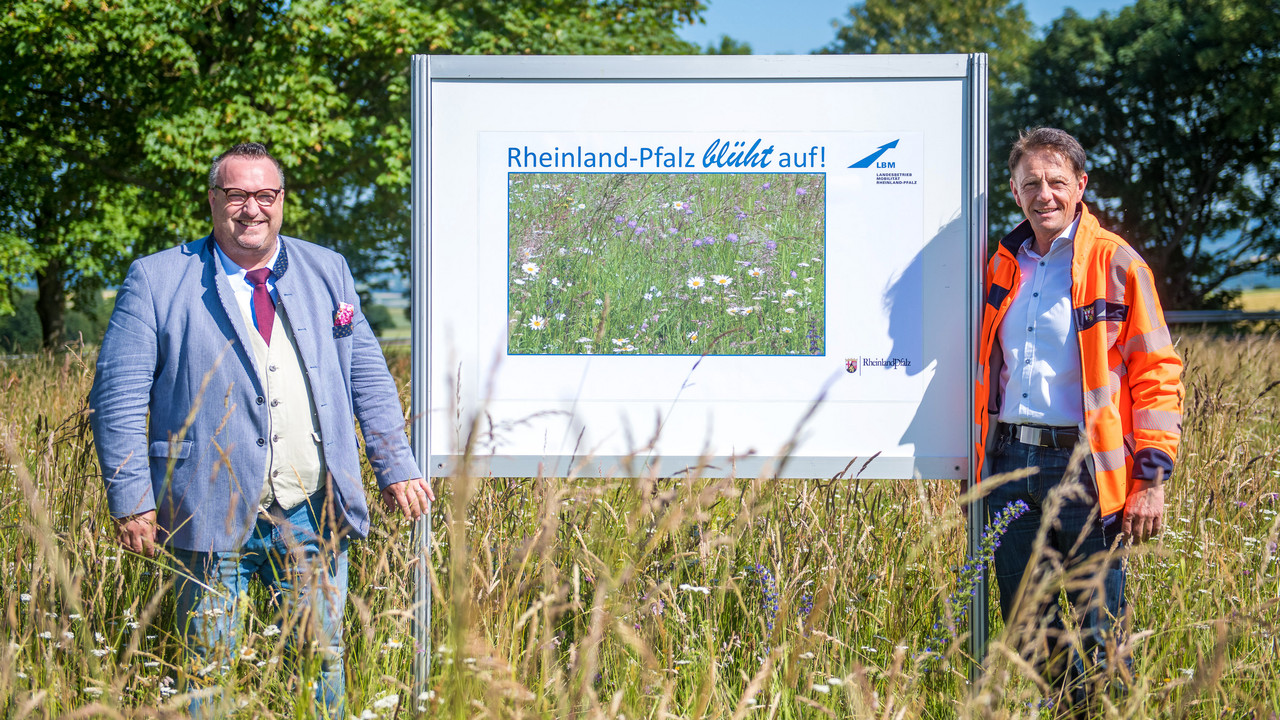 Verkehrsstaatssekretär Andy Becht hat gemeinsam mit LBM-Geschäftsführer Arno Trauden an der L 52 im Bereich der Anschlussstelle Ochtendung das Pilotprojekt „Blumenwiesen“ vorgestellt
